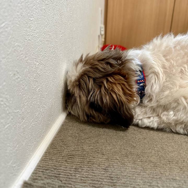 37fe353a a470 4ece bc86 4ca9f85ed60c 1691656181032