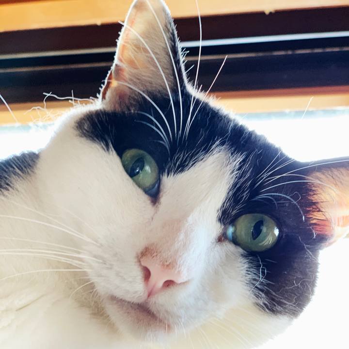 37fe4236 7566 4fd8 bcfd 1da1dc8b8232 1595036867105