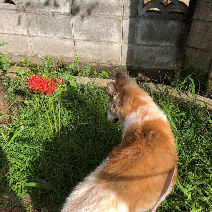 37fe4e46 de18 4b33 a239 d1e088a85ac4 1537314216167