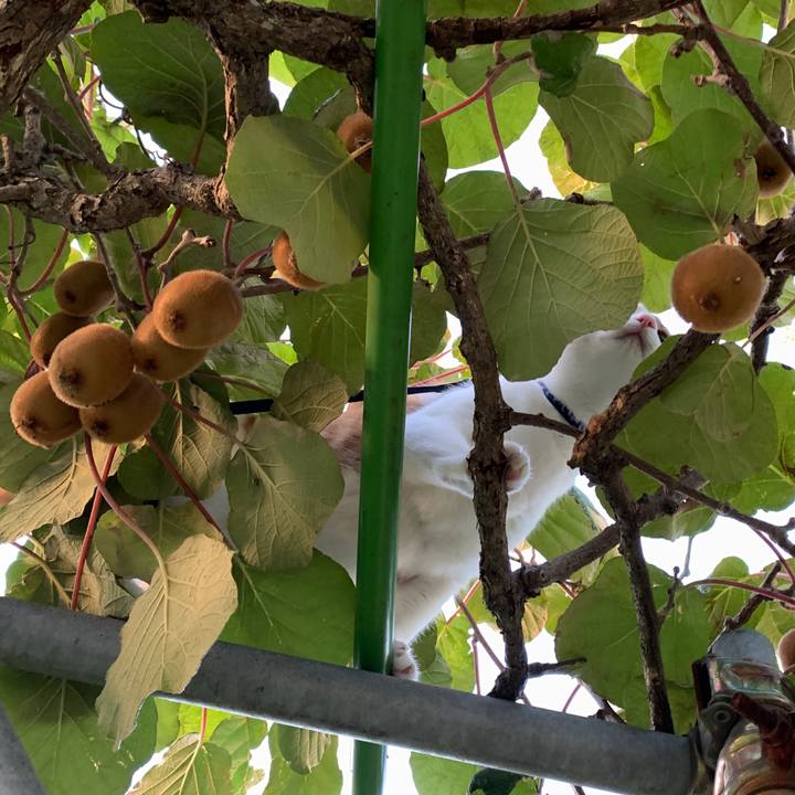 37fe521c bd16 4cdd be3b d53c7f1df6f0 1568882329344