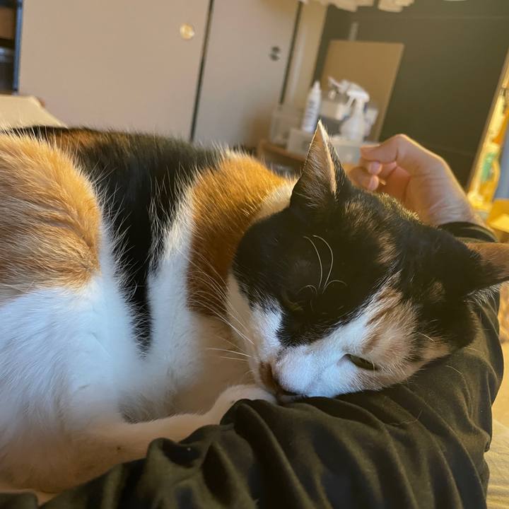 37fe6000 f2b0 4cc2 9b55 0e558044b2e7 1746526022018