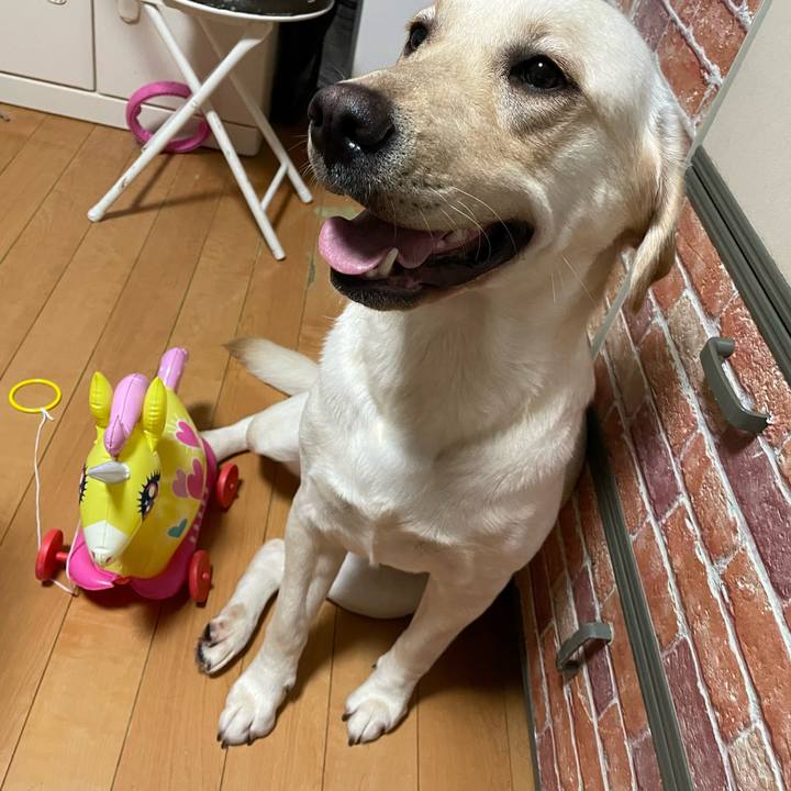 37fe7051 e7db 4622 9fb9 42e55bae6121 1658583911444