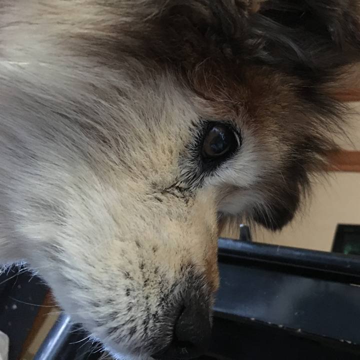 37fe7d2f fd45 4b13 b8a7 725f7498e296 1615762063127