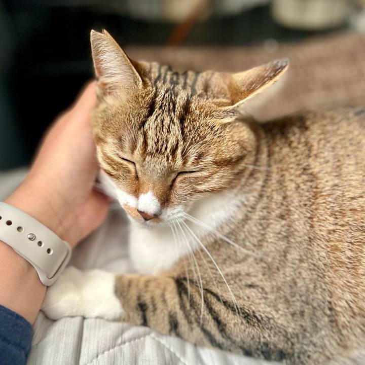 37fe8866 b43b 4983 99d8 6423af08067d 1762609240507