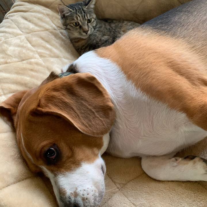 37fea027 697a 4983 a110 ff97c518482f 1605748213258