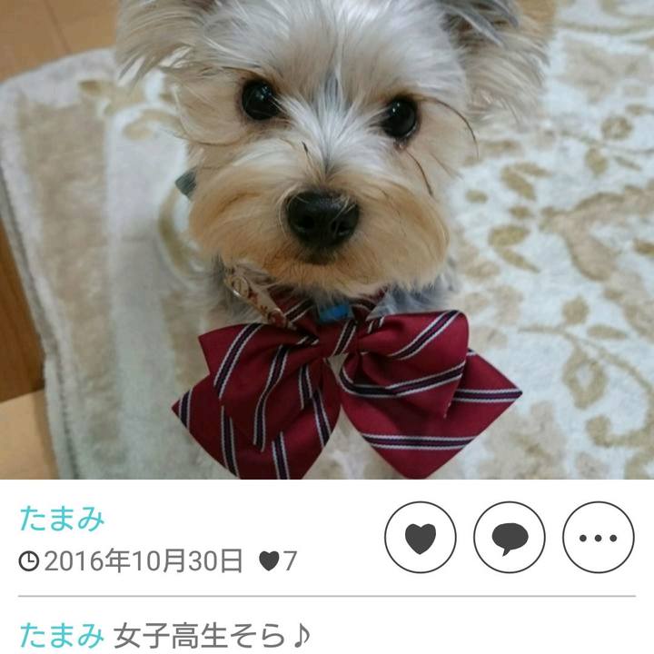 37fea325 c841 4afb b437 4751b3b78281 1559512368145