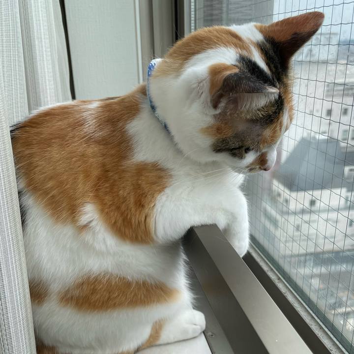 37fee0fa 6128 4556 88ca 5633c18d9027 1688869415760