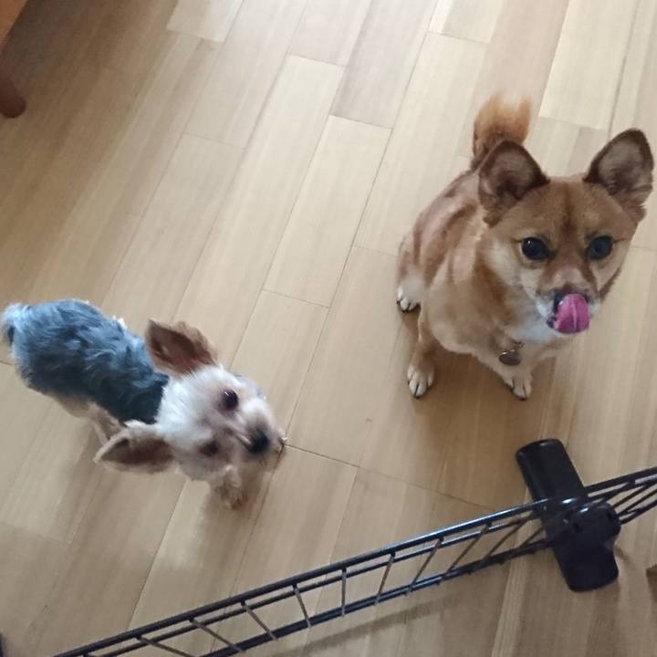 37fee996 4eda 499f 99bb 8bc287adad9d 1537075668468