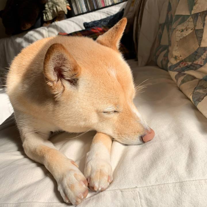 37ff39b6 51c9 49ba b11a e031fcd5ed48 1640401716044