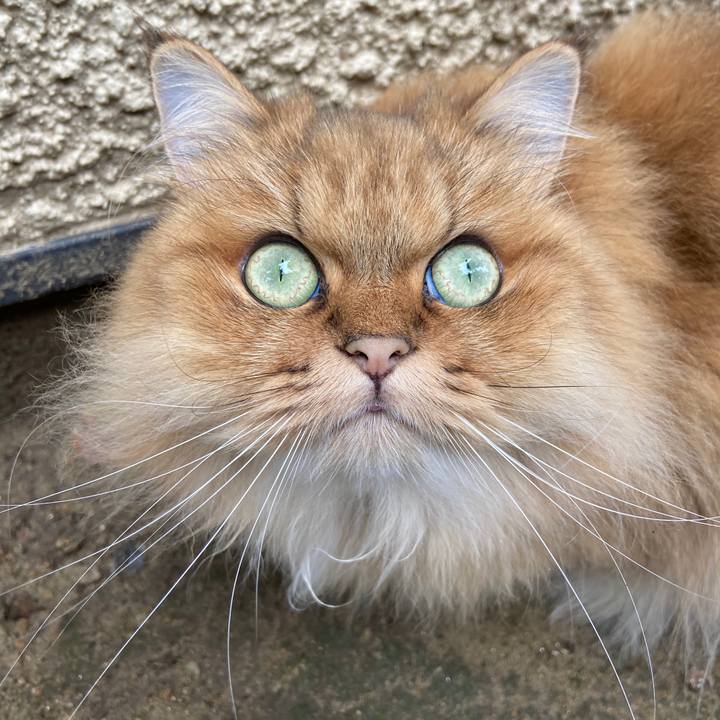 37ff450c c94e 4234 809c ba29dba9e65f 1600040135438