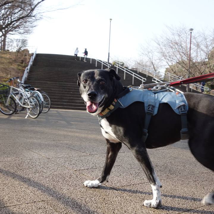 37ff569a d770 4918 84ad 72131377bd23 1742948237257