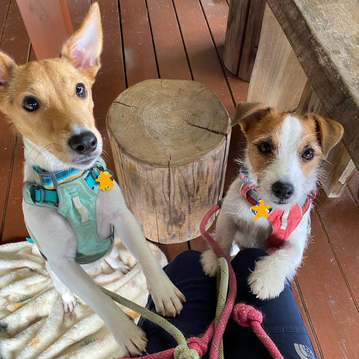 37ff5c3c 6a78 4bef bc02 44b0b330ff12 1762163533481