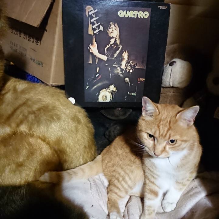 37ff61a5 5cae 40ac a83b 4fc55bef68c7 1605786205683