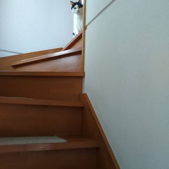 37ffae50 1085 4bbb 836c 01300d9a2000 1562586368799