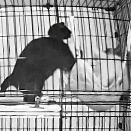 37ffd98b 8eaa 4d7f aaa7 e8385e71b9f1 1731609137383