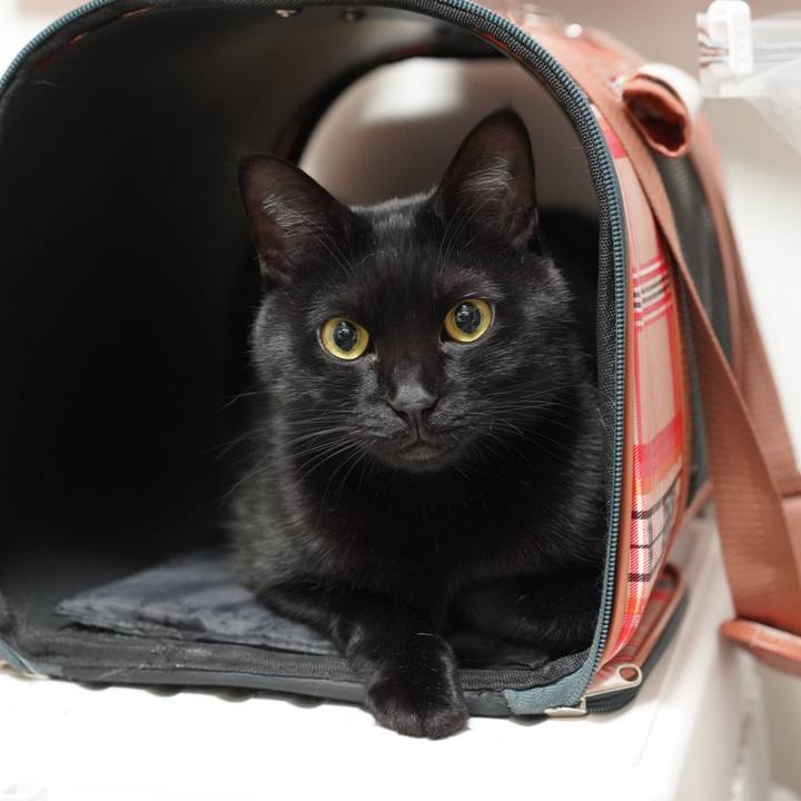 37ffde51 cdf6 424f 84f1 b000424213e8 1634739139116