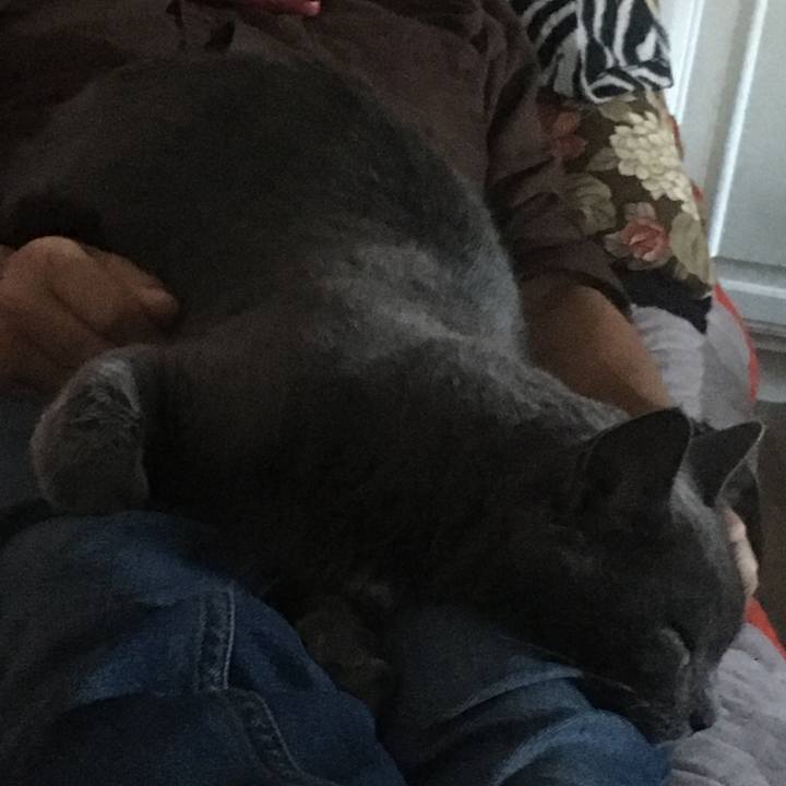 37ffe074 e451 4af3 8f5f 6c754411f358 1687648795028