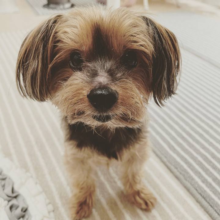 37ffe1ce fd98 4110 851f 7a60f7085980 1659479762629