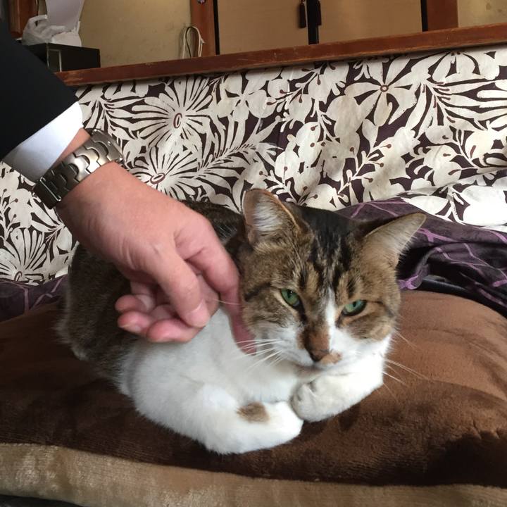 380006b7 2b40 42ae 9b12 325fe6df8309 1514038277902