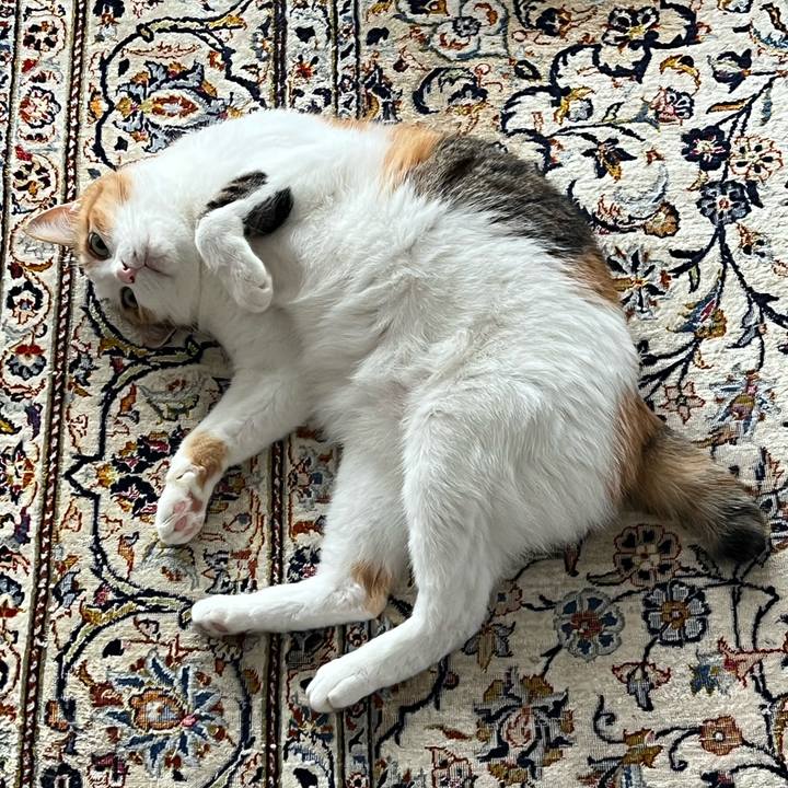 380026f4 e4c3 4002 b648 0859763a5eb9 1761345814819