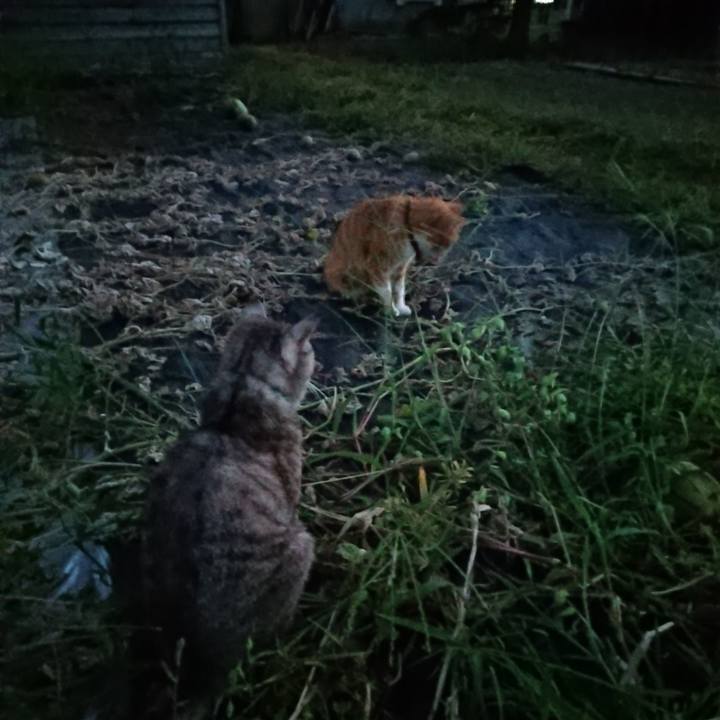 38008e63 eadb 4fd8 aa20 50eb492a7ab3 1568539853503