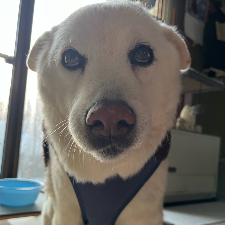 3800ad21 5b2b 411d acac a8152efa8822 1764890481387