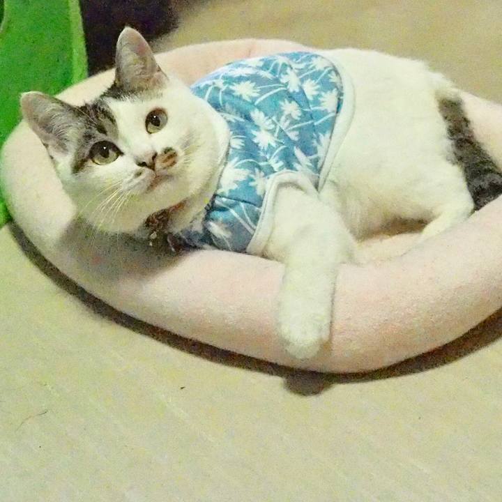 3800c6b8 0a0b 4af1 8b2b 455806dbfc2d 1567326407317