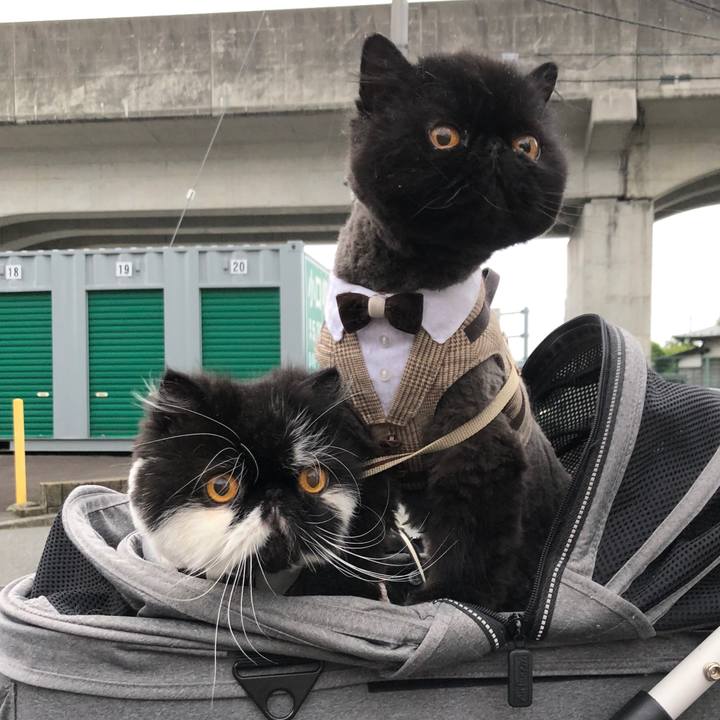 3800cf17 e081 4bdb b95f f870f7f7c390 1716120448910