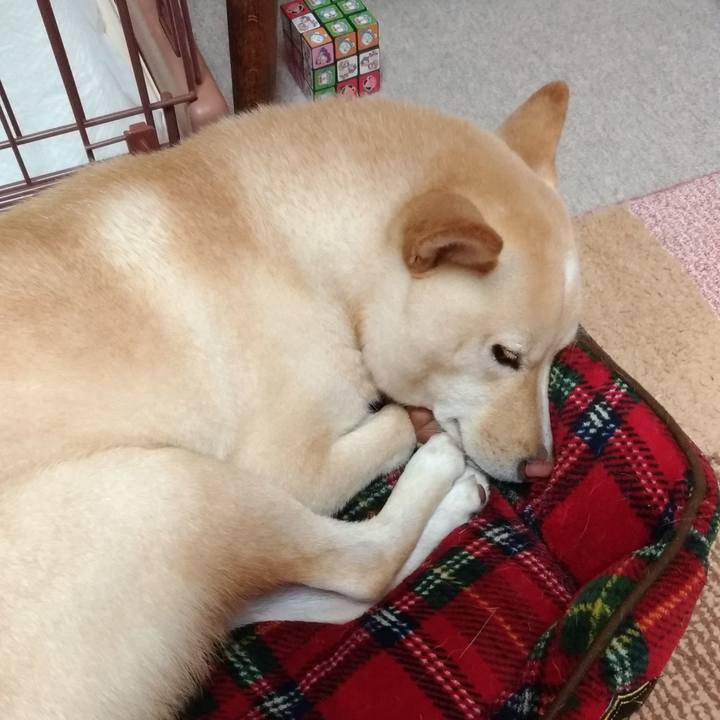 38010ae1 2597 495d a5ad 4af4385bec07 1541507458915