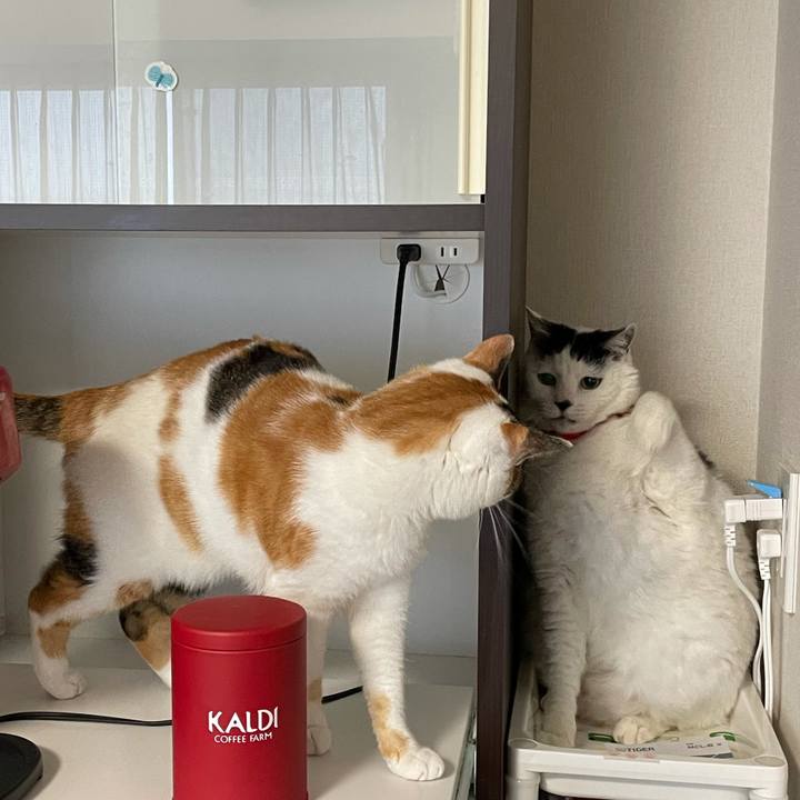 38011907 2db2 4318 bb9f 32196b923a9e 1621568085805