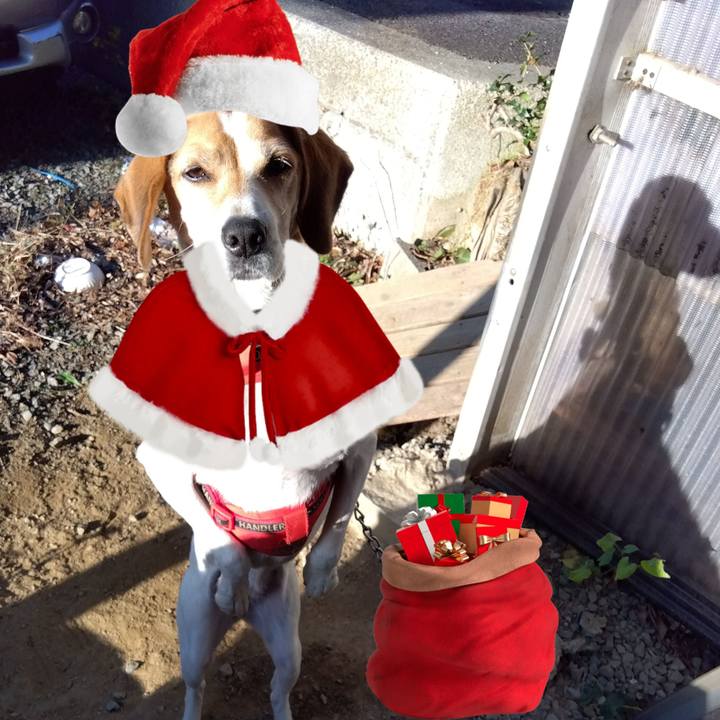 38014bff 06d6 4430 b90a 3abda4d13565 1703492024520