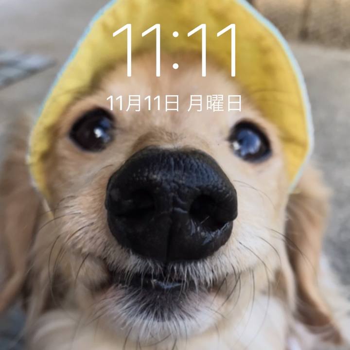 3802470e 6791 4da4 96c9 ded67e377d82 1573511952620