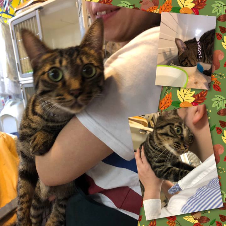 3802667f 0571 40f1 922b bd958cc0f767 1568632188216