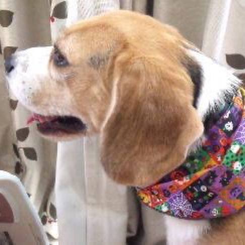 3802a982 52b9 40bc 8ad2 425ef93583c3 1727906269042