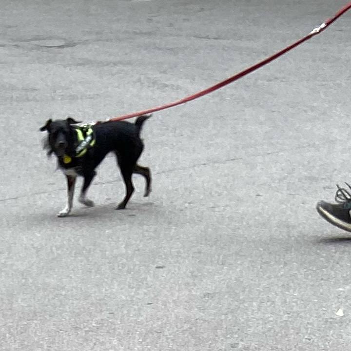 3802cda2 d061 4c4e b098 74a5019b94fd 1732194017623