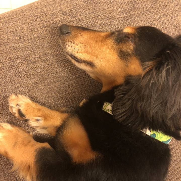 3802e0ed a8d7 4b86 a508 d52e00698824 1527332242491