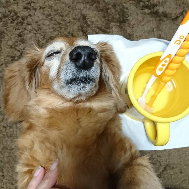 3802fcdd cfee 4454 bd8a 279850fe7516 1510766781113