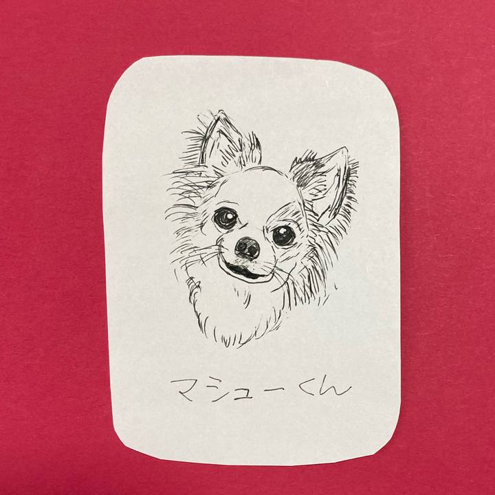 380302da 29f7 4ded b673 f3b0f5160ed0 1618804720104