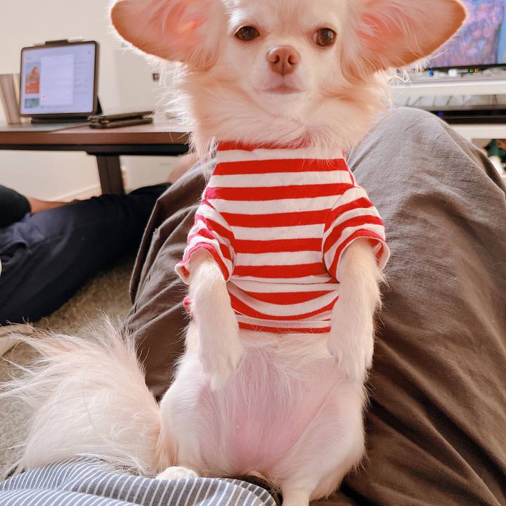 380319b2 9334 416c a25c fa3df1629559 1665294749698