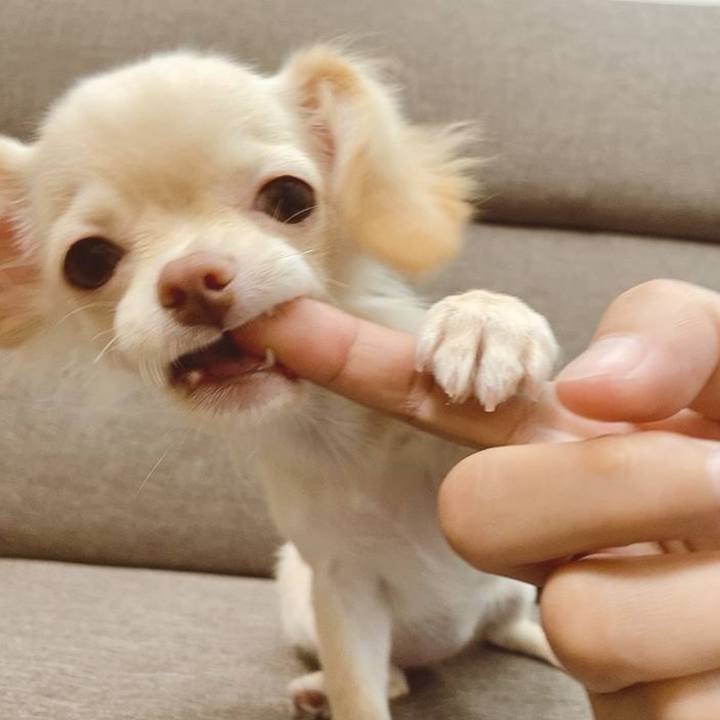 3803ba67 b44a 490f b4b4 6f2405139392 1749892263528