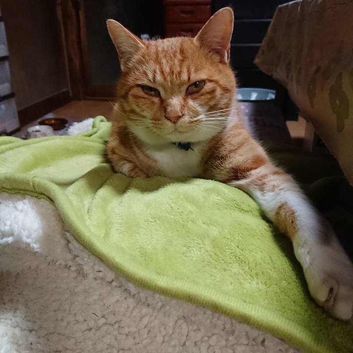 3803dfdb ec64 4bce 9dd8 9004eb5a77b7 1608282103483