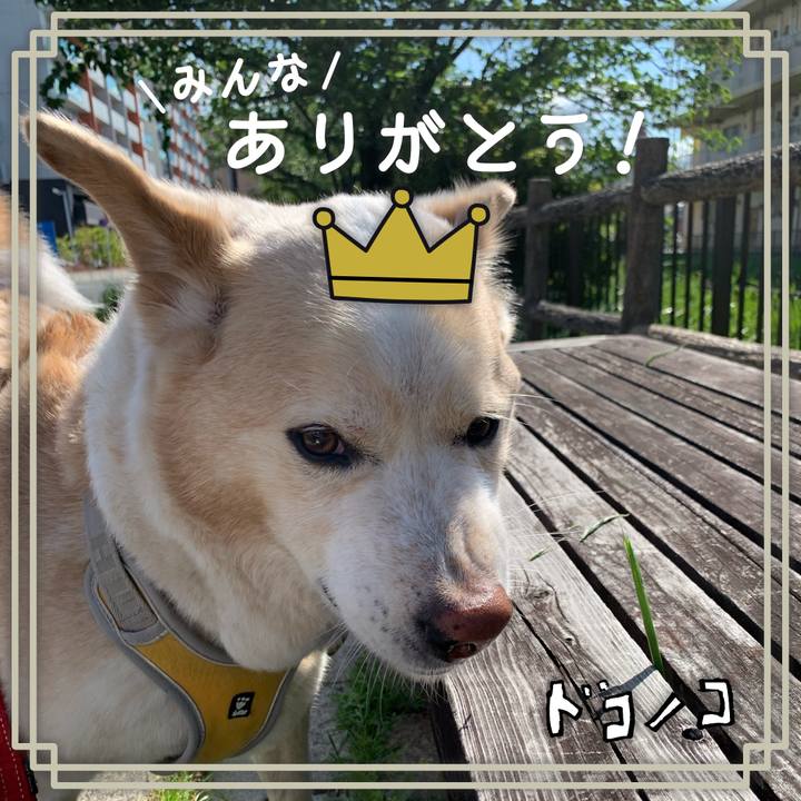 3803e35d 404a 483b 81a6 8f7e8599d35b 1622891235551