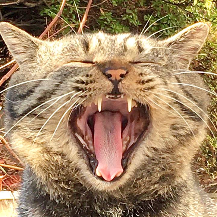 3803f39b 3aa3 477c 8d49 56634e6d6905 1612151738172