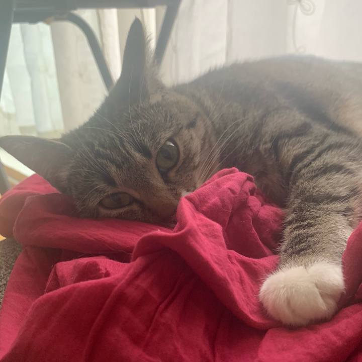 3804404a cebd 4366 b69a dc1b4c4024cd 1559563425612