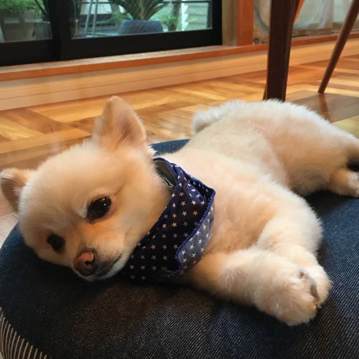 38046674 1b3a 451f 8ce0 4ce6409e833b 1597394866547