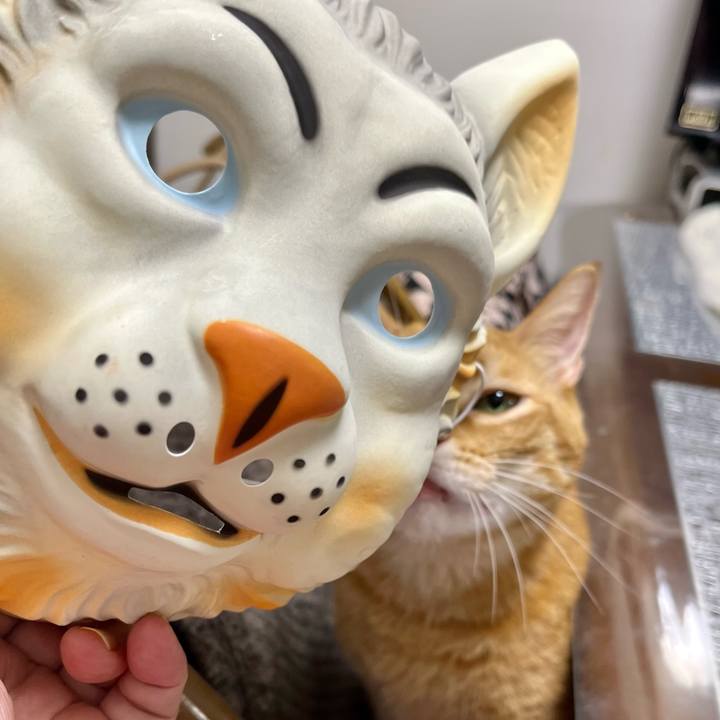 380466cc d8ad 484e a713 1dfb759056d2 1672141181424