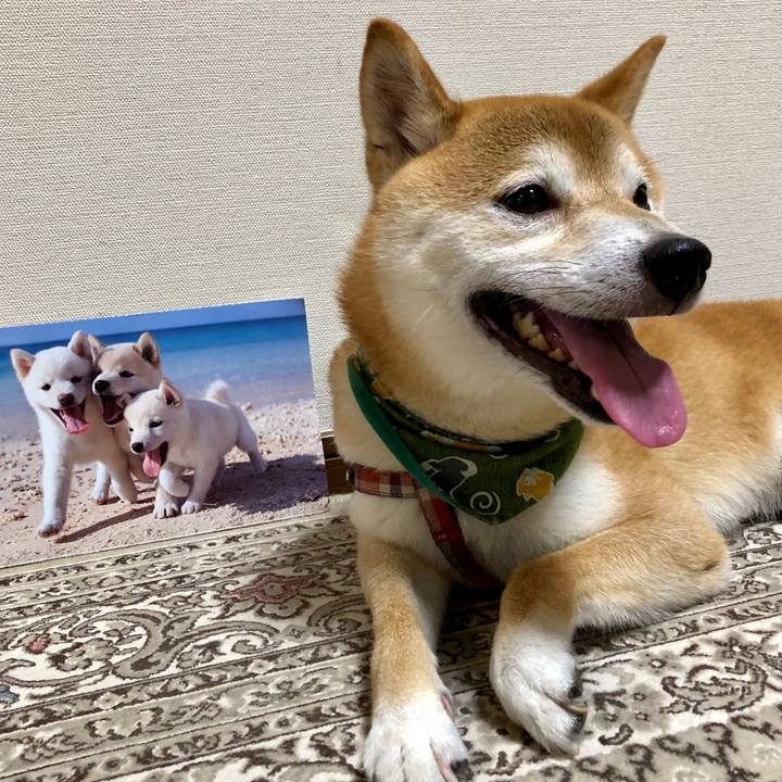 3804703d 6846 48cb 83d7 0be3fcd1ebd8 1533115130955