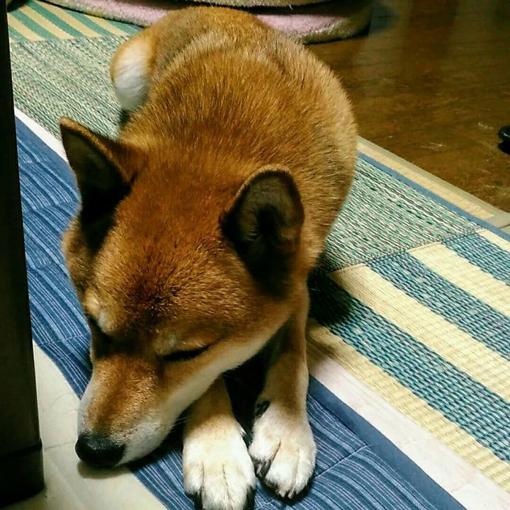 3804a7b1 c02c 486a a279 bb16265eab80 1566119834375