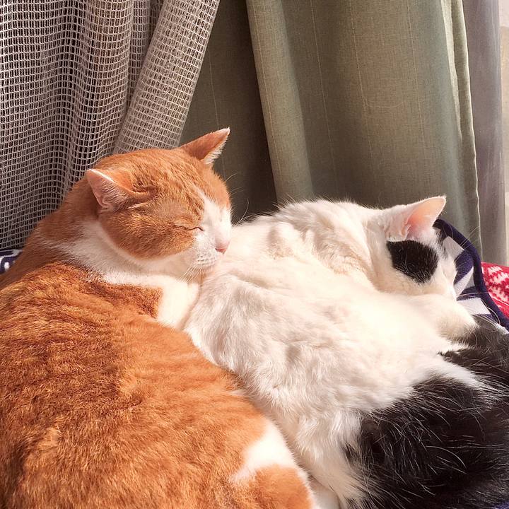 3804b7f9 2347 47e6 9d66 ab6eb73848c7 1583314907385