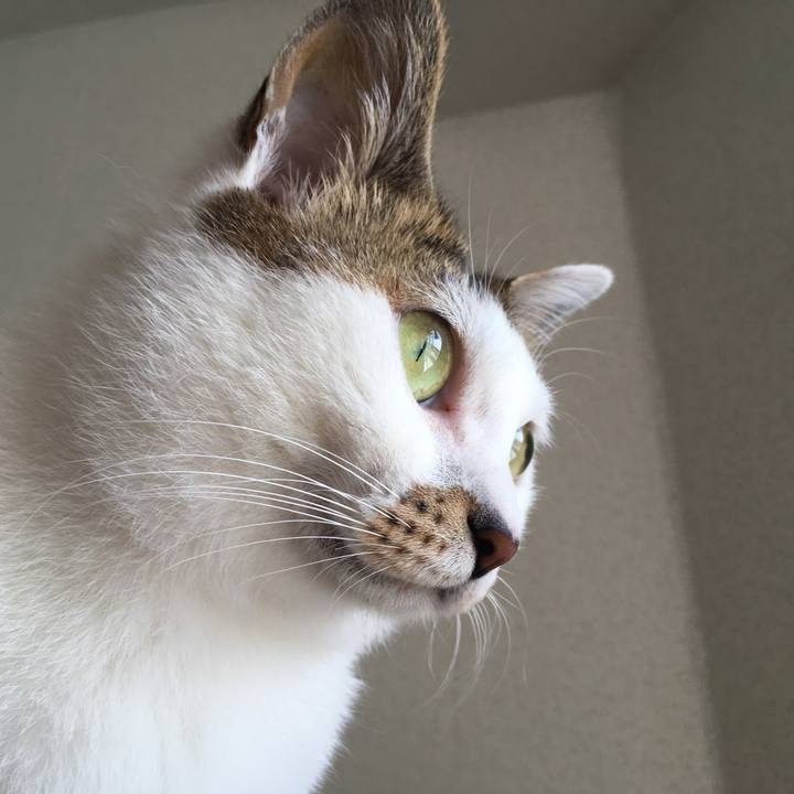 3804edd7 efda 40d5 a25e 8e337597d267 1528448824300